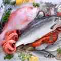 ΨΑΡΙΑ-ΟΣΤΡΑΚΟΕΙΔΗ-ΑΛΙΕΥΜΑΤΑ (Ενημερωθείτε για διαγωνισμούς δημοσίου σχετικά με ψάρια, οστρακοειδή και γενικά αλιεύματα.)